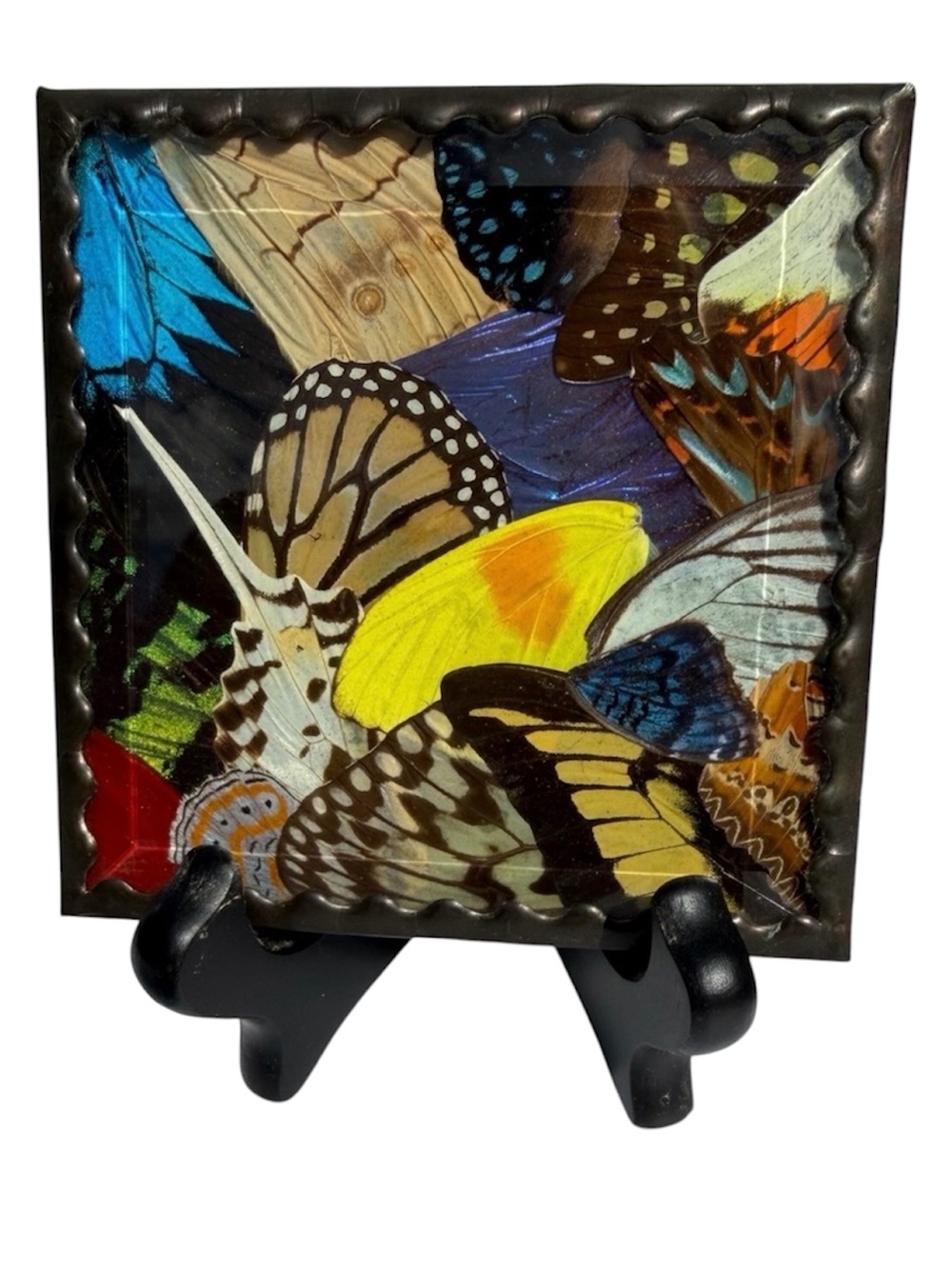 Butterfly Collage Decorative Wall Mounted or Displayed Tile